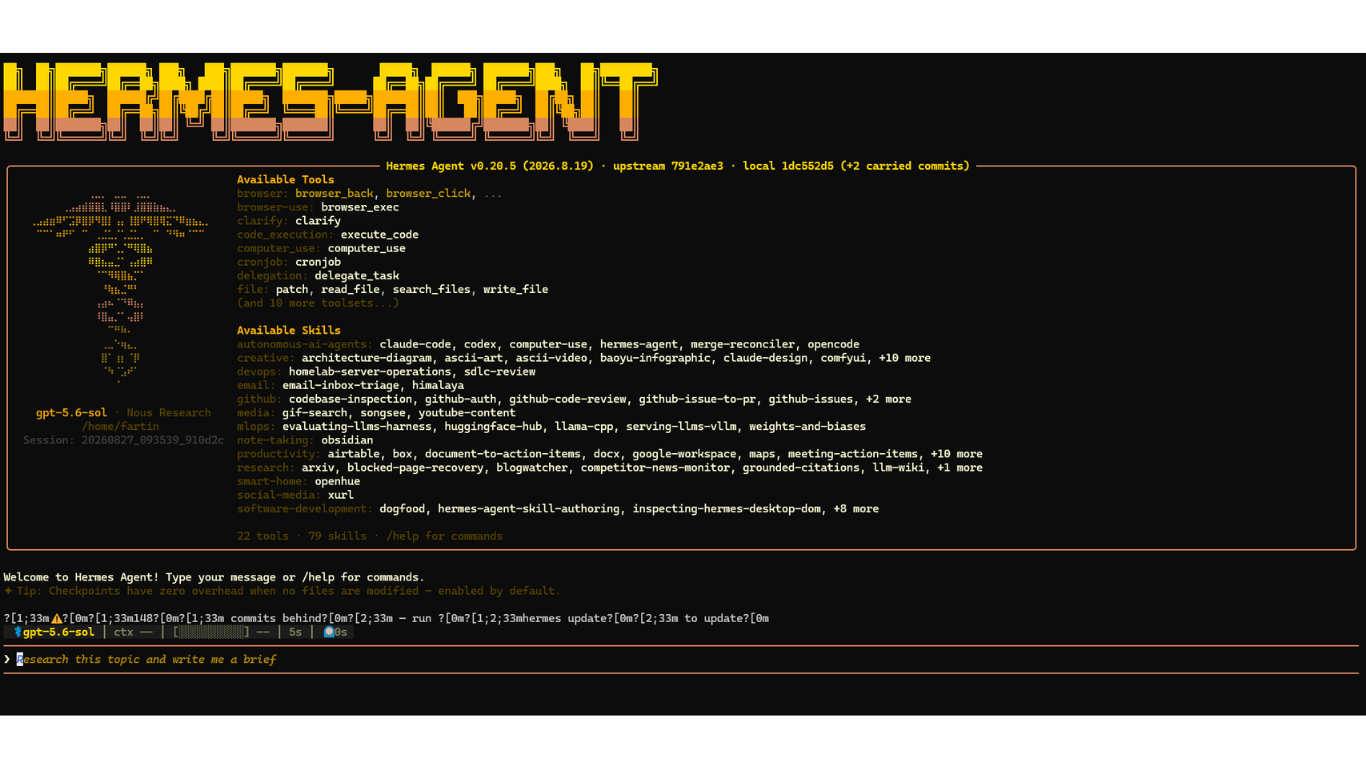 Vista del proyecto Servidor de agentes de IA